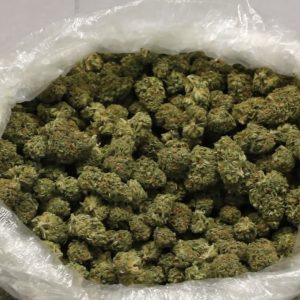 Acapulco Gold