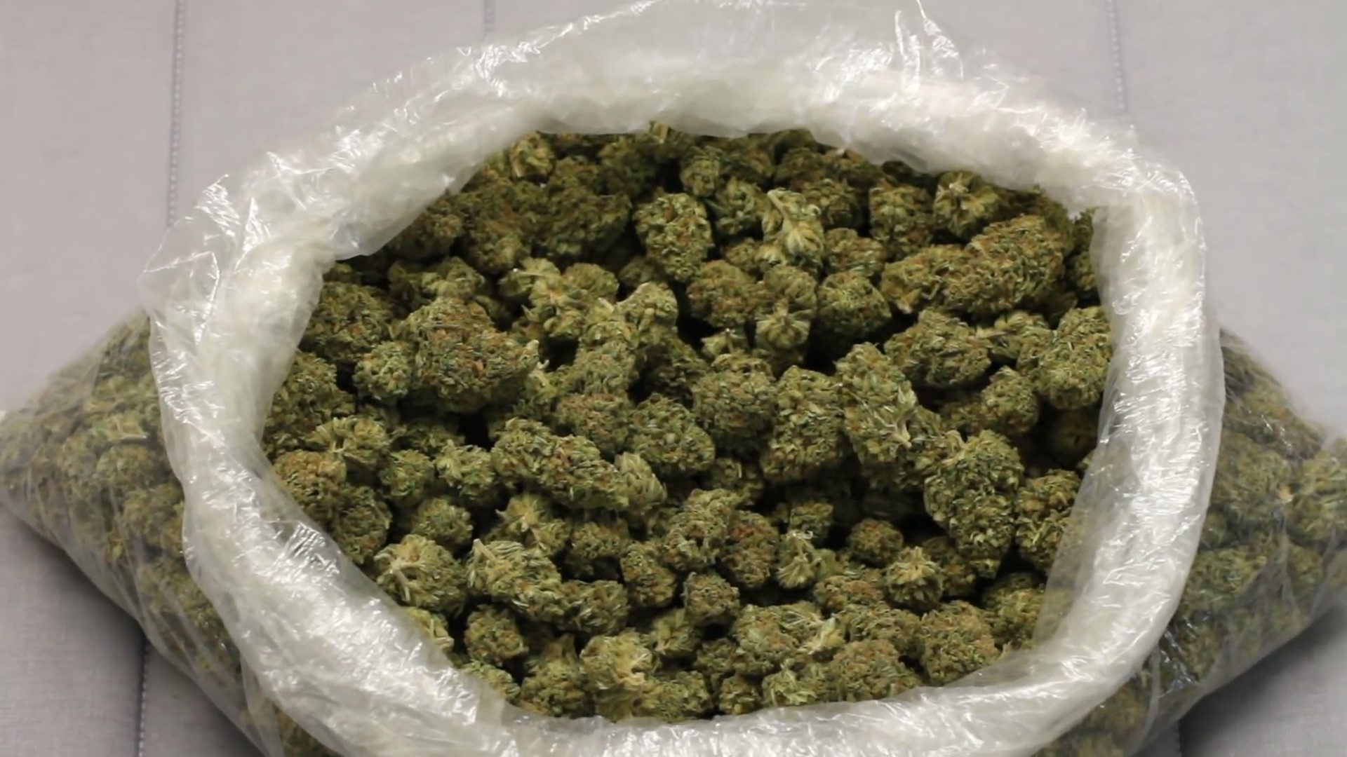 Acapulco Gold