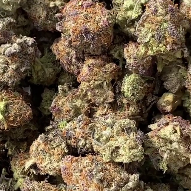 Ayahuasca Purple