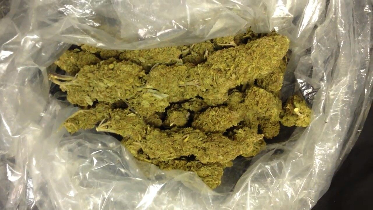 God Bud OG