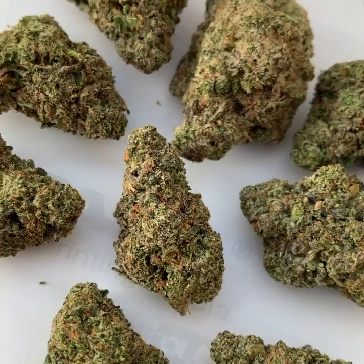 Biscotti