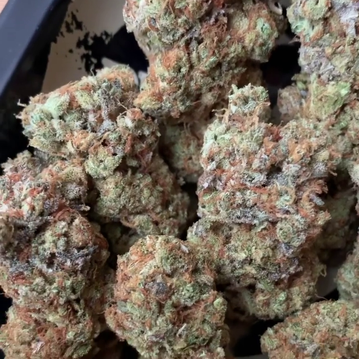 Bluebird Kush