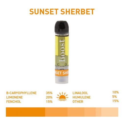 Boost Vape Cartridges – 1 Gram