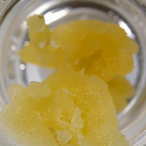 East Coast Alien