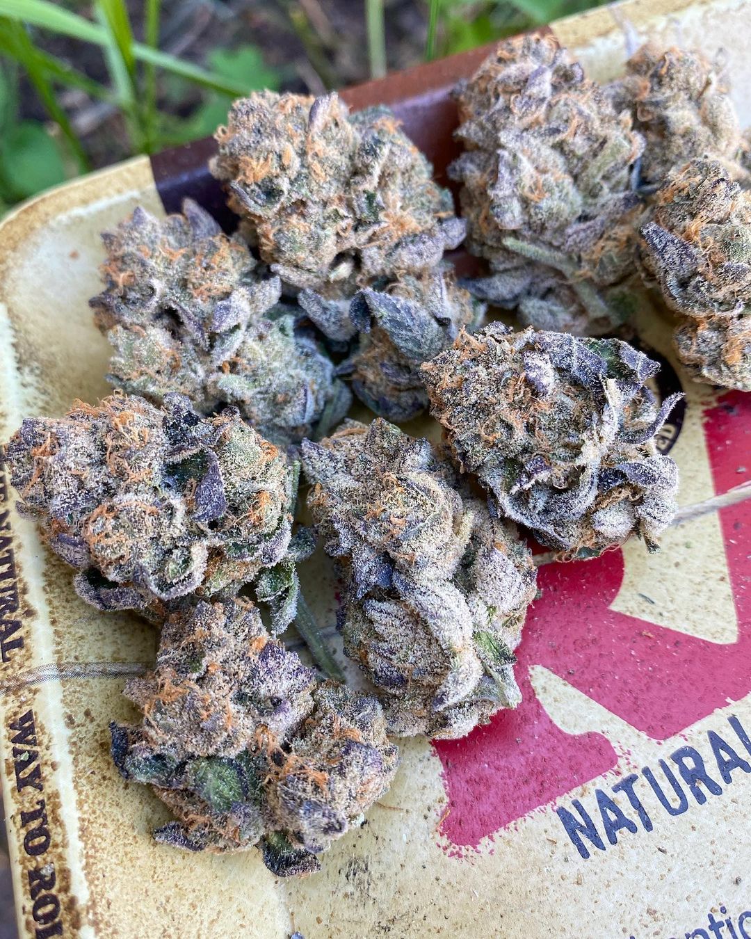 Girl Scout Cookies