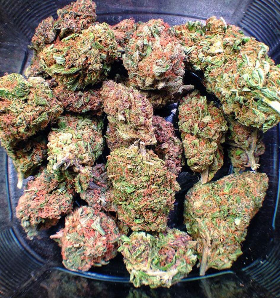 Golden Goat