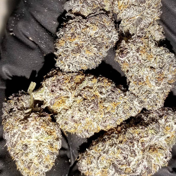 Hybrid Strains