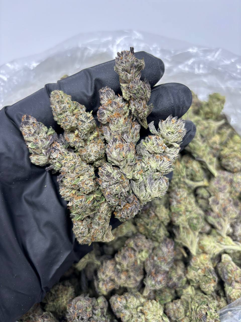 Black Diamond