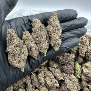 Grand Daddy Purple