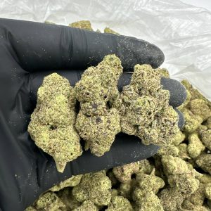 Chocolope