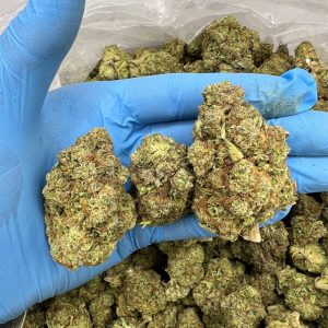 Green Crack