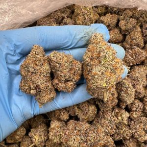 Sour Power OG