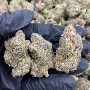 Mendo Breath