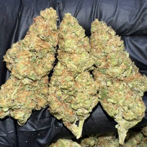 Moby Dick