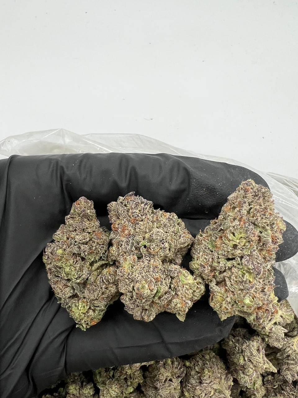 Red Cherry Berry