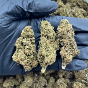 Jet Fuel