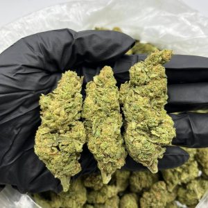 Violator Kush