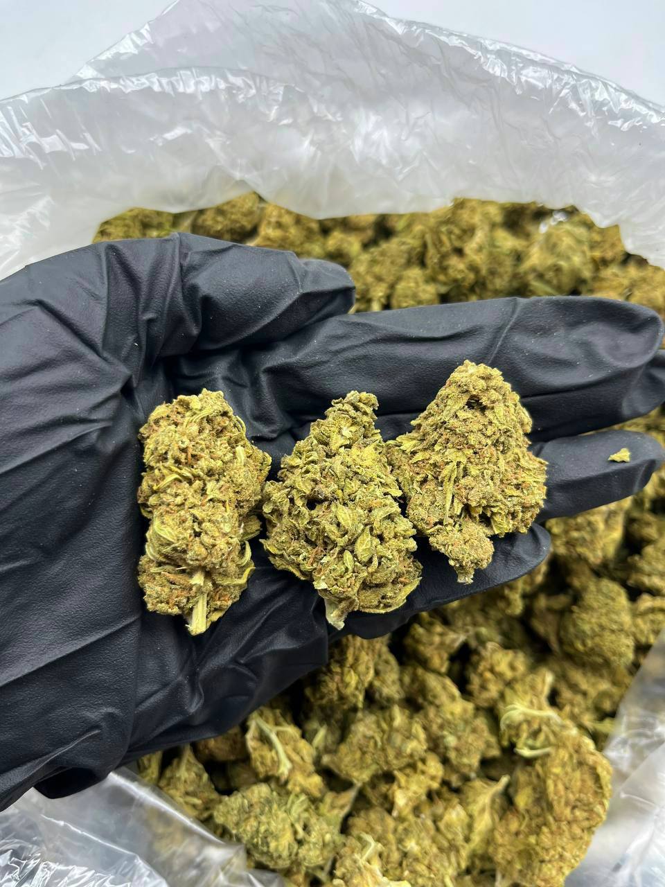 True OG