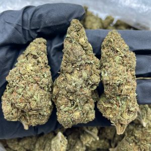 Original Haze
