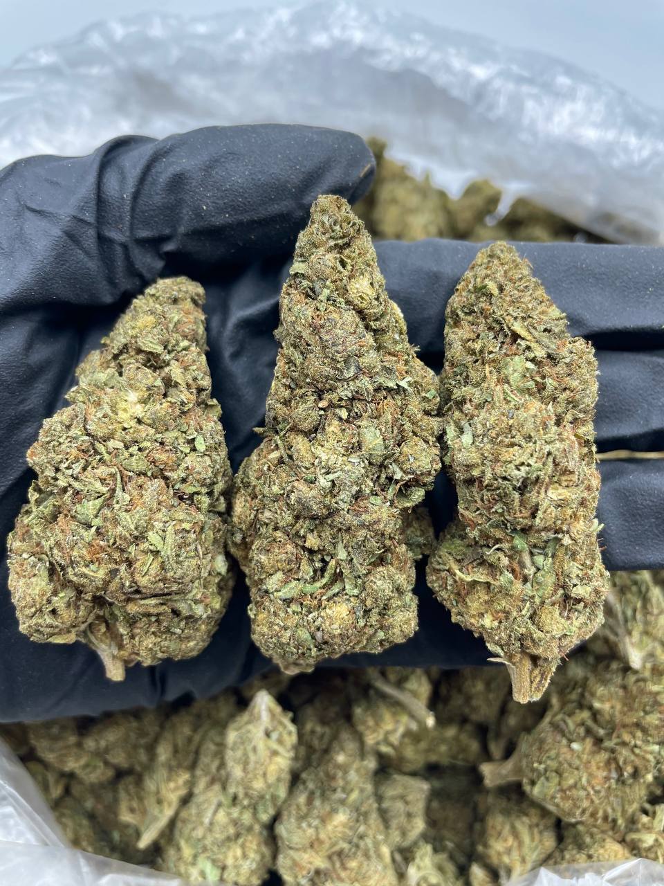 Original Haze