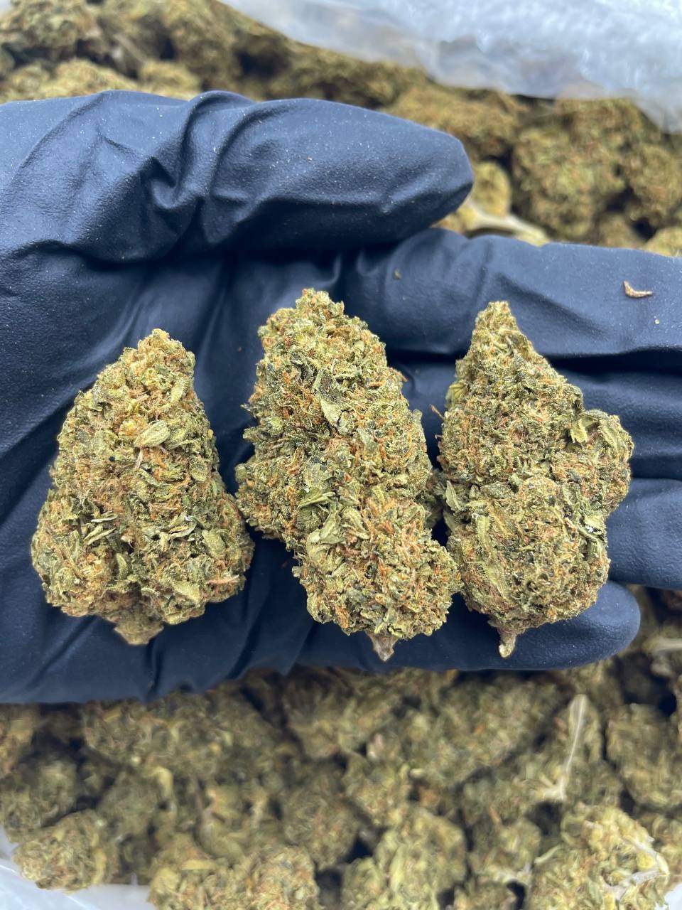 Lilly CBD
