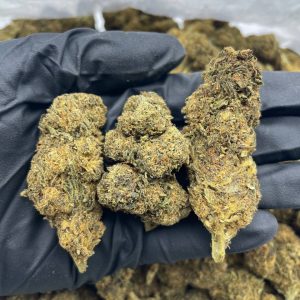 Lemon Skunk