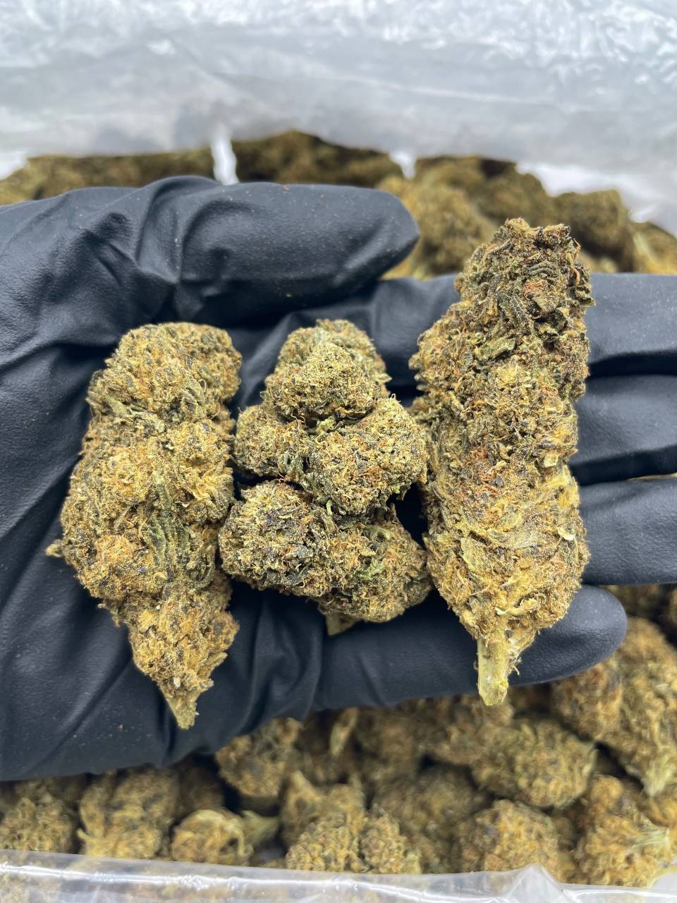 Cookies and Cream