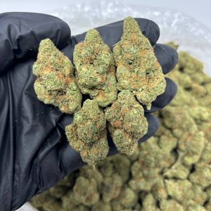 Jack Herer
