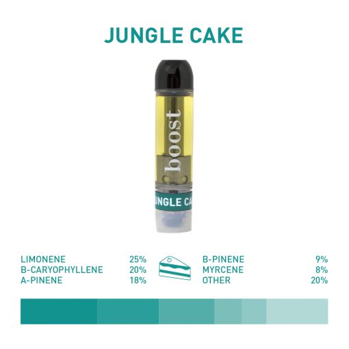 Boost Vape Cartridges – 1 Gram