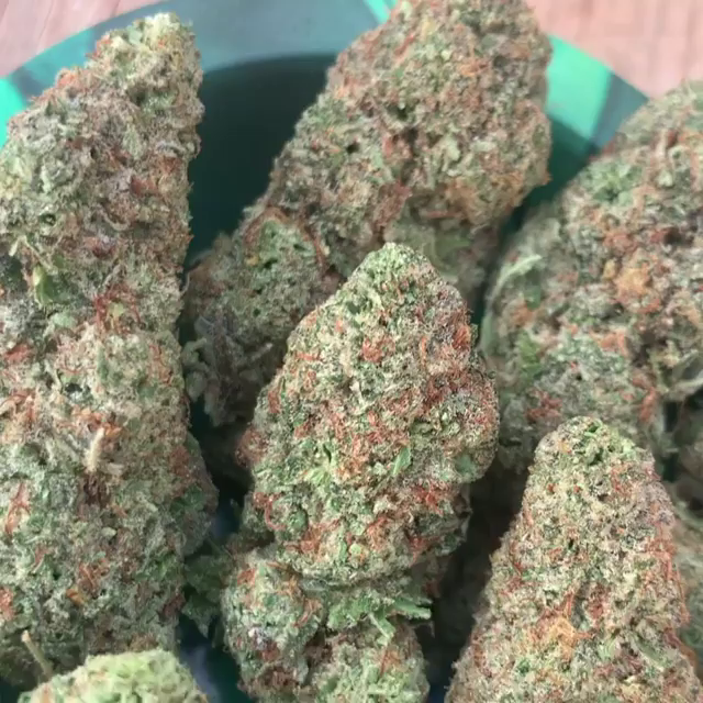 Mimosa