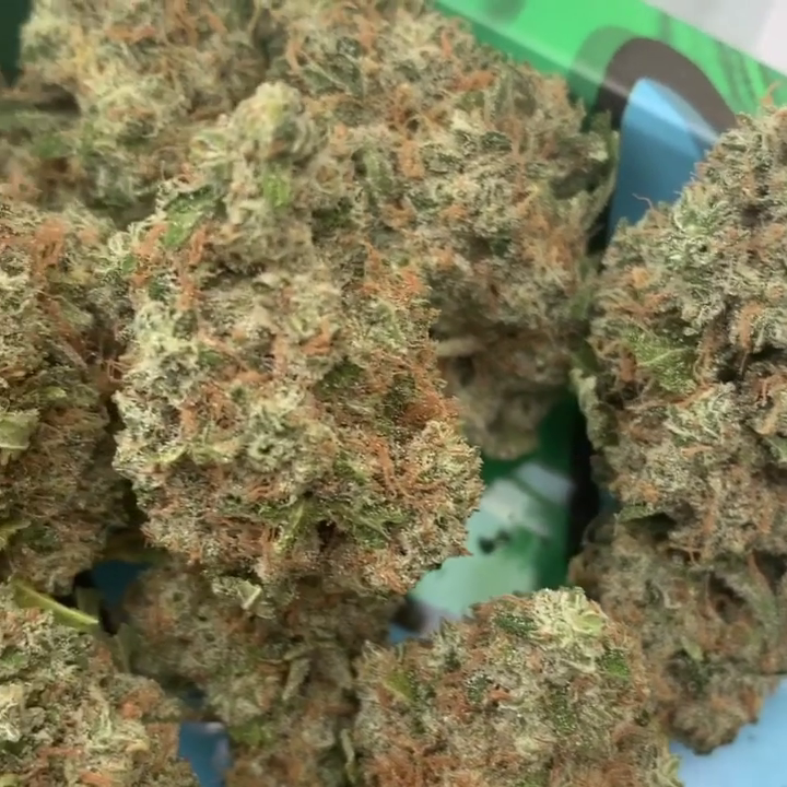 Northern Lights
