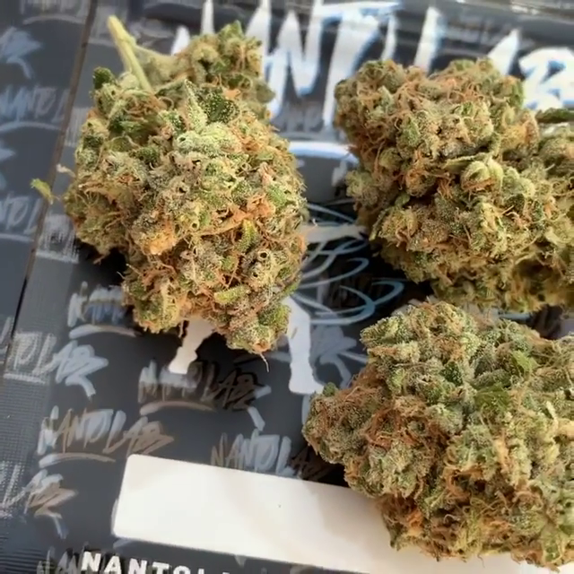 OG Glue