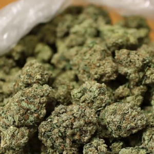 OG Kush