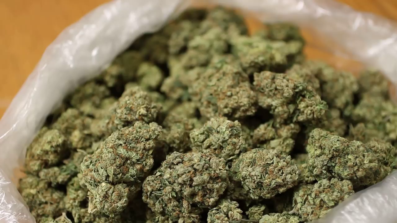OG Kush
