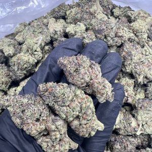 Purple Urkle