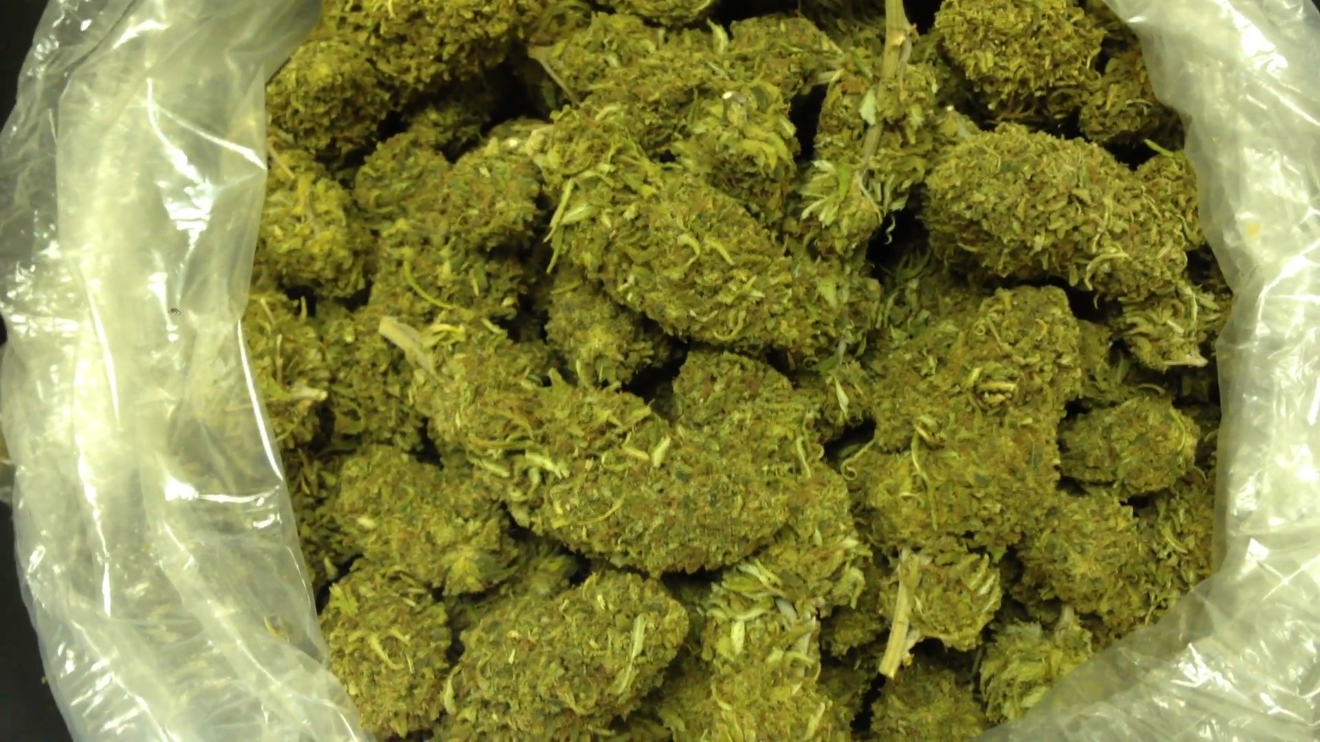 Pineapple Express
