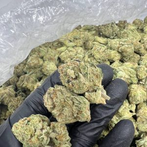 Super Lemon Haze