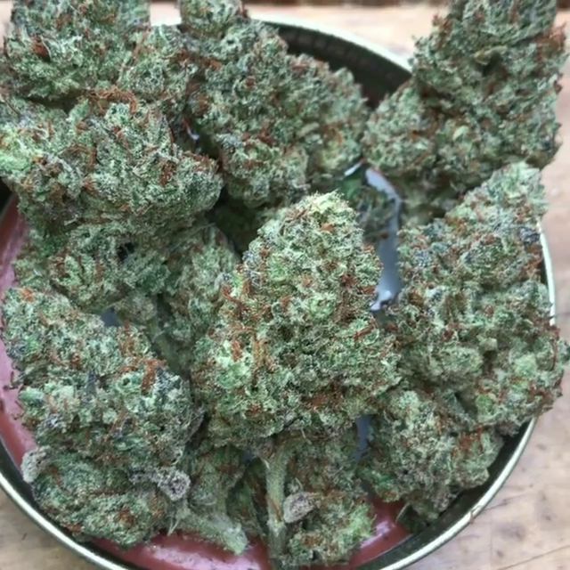 Starbud