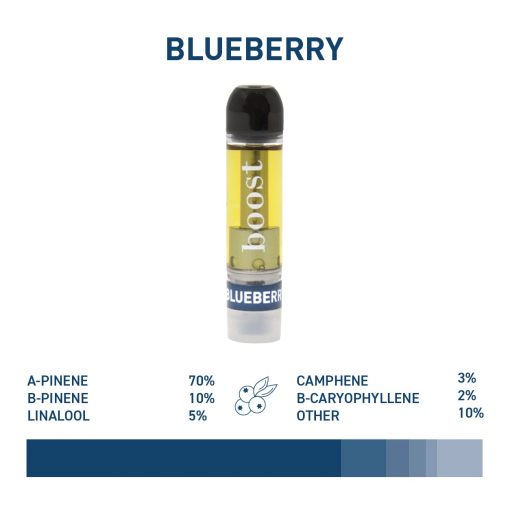 Boost Vape Cartridges – 1 Gram