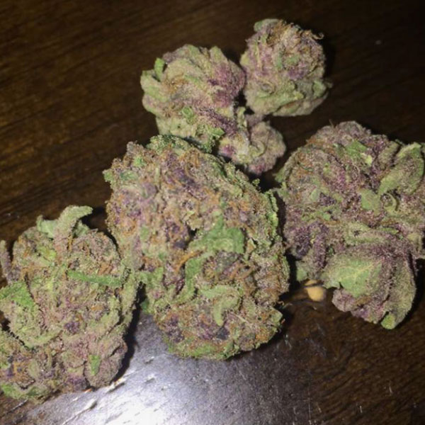 Indica Strains