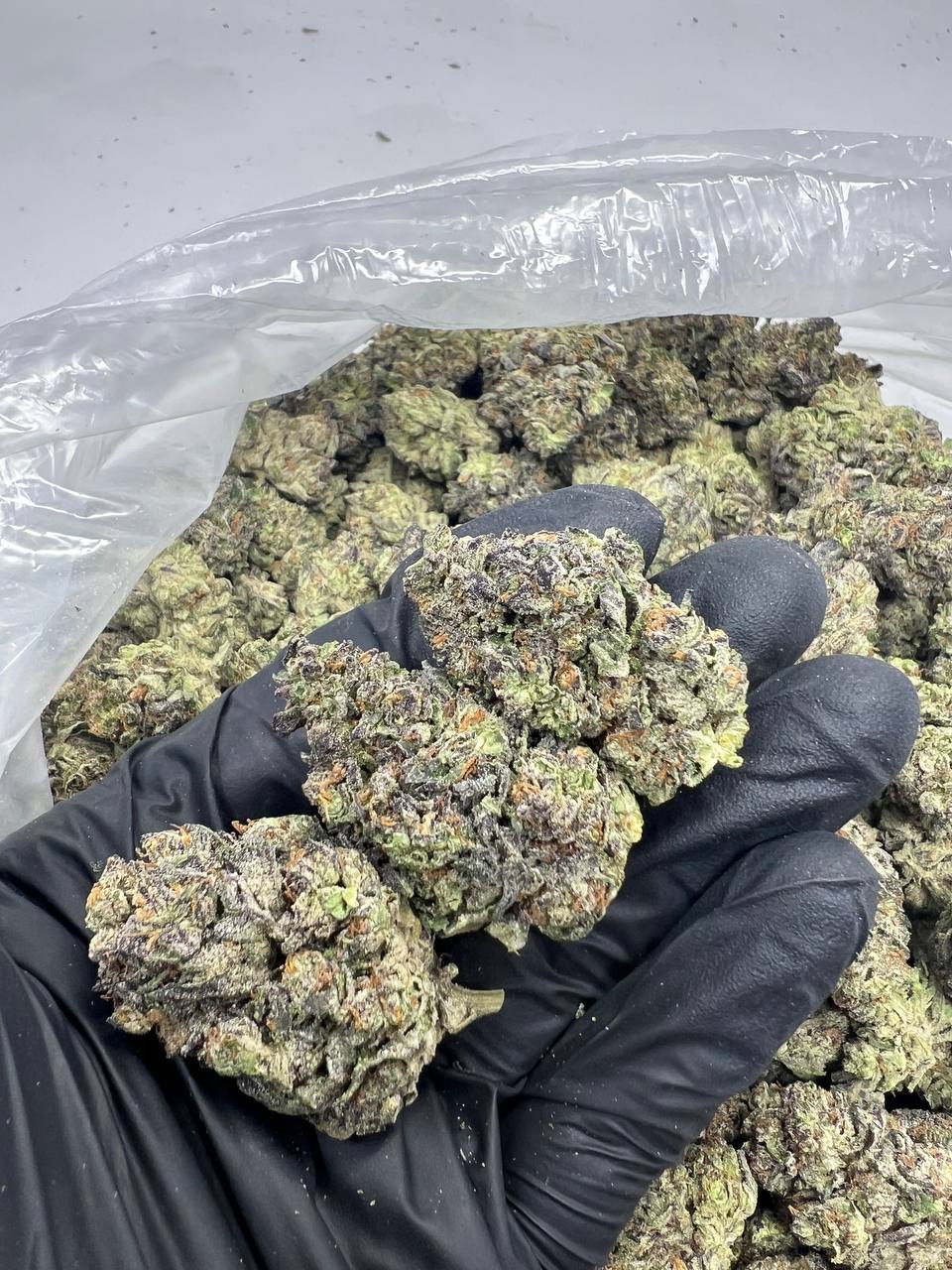 Pink Lemonade
